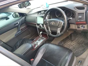 Toyota Mark X 2009 Gray