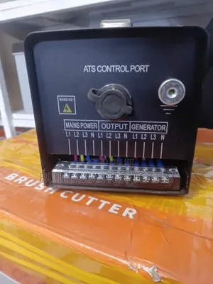 Portable Automatic Transfer Switch (Ats)