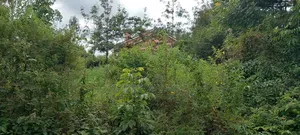 Prime Plot for Sale in Ngong Vet 