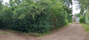 Prime Plot for Sale in Ngong Vet 