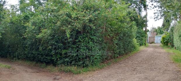 Prime Plot for Sale in Ngong Vet  - thumbnail 2