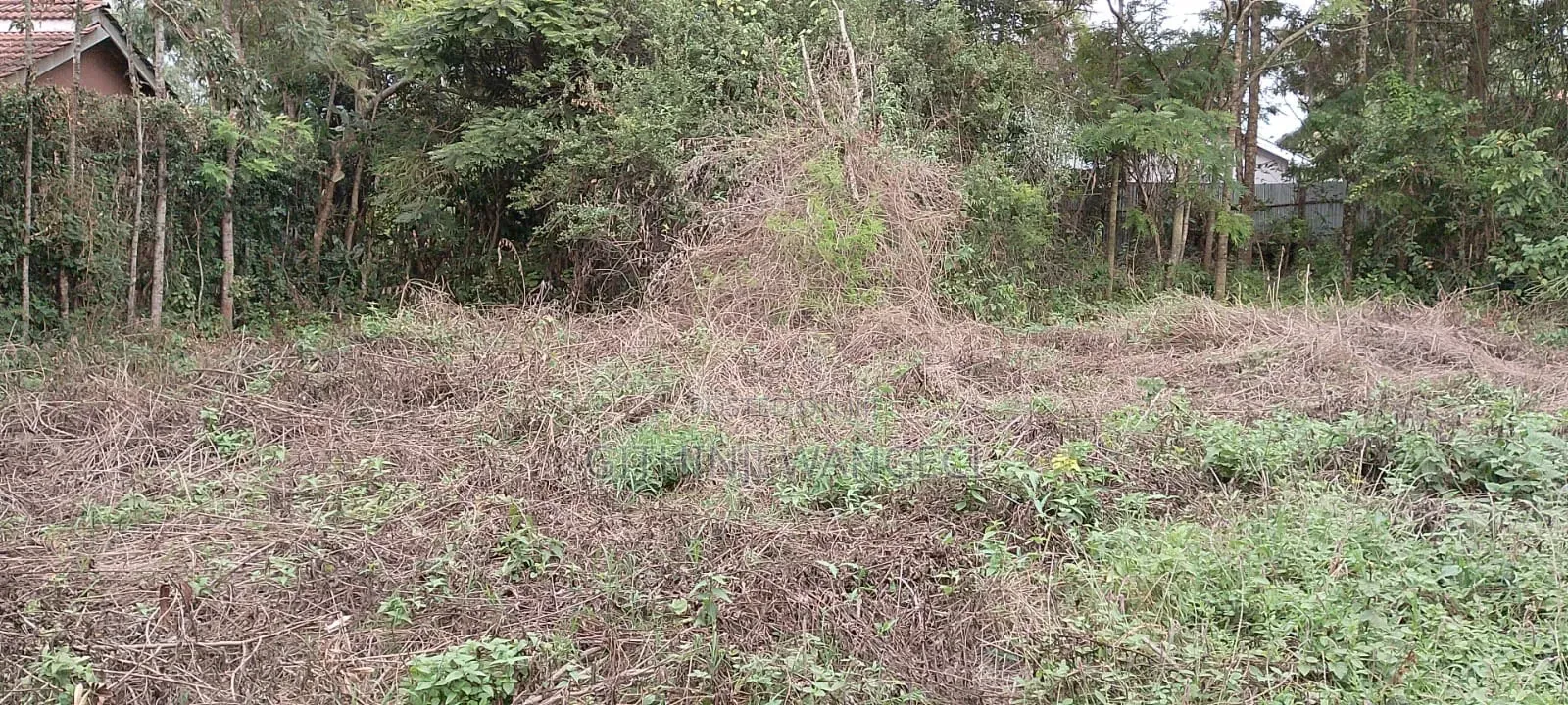 Prime Plot for Sale in Ngong Vet 