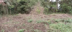 Prime Plot for Sale in Ngong Vet 