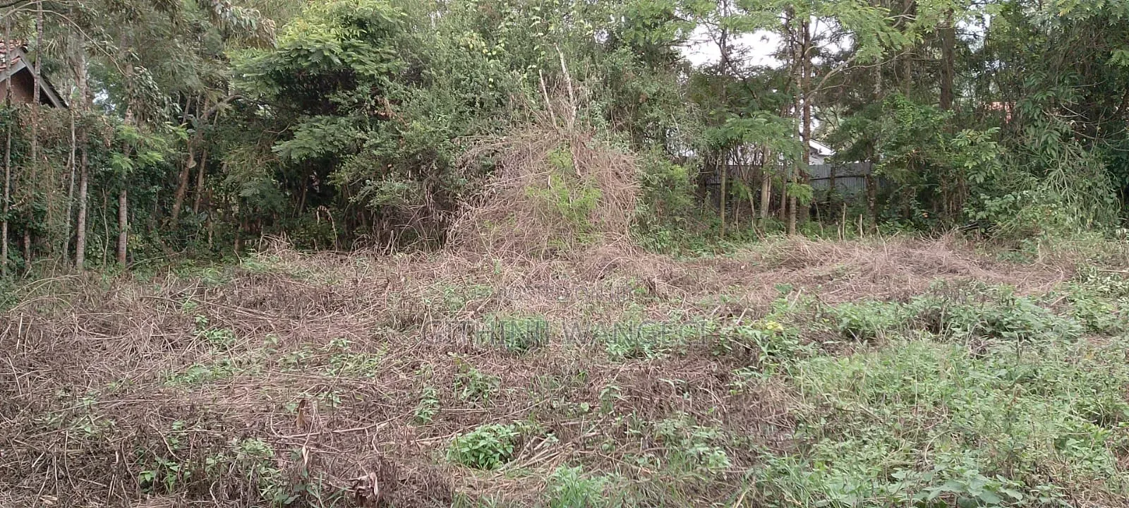 Prime Plot for Sale in Ngong Vet 