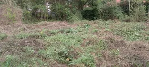 Prime Plot for Sale in Ngong Vet 