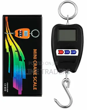 200kg Mini Crane Scale