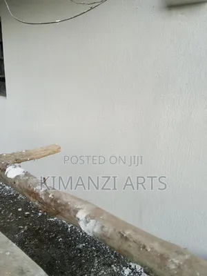 Professional Painter