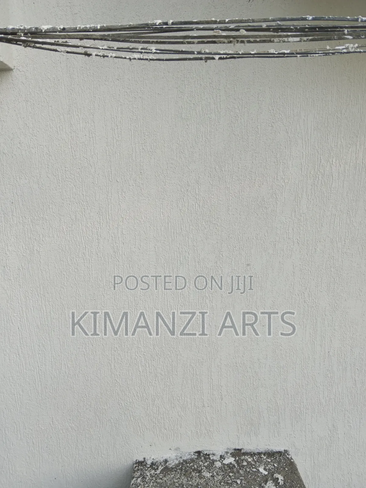 Professional Painter