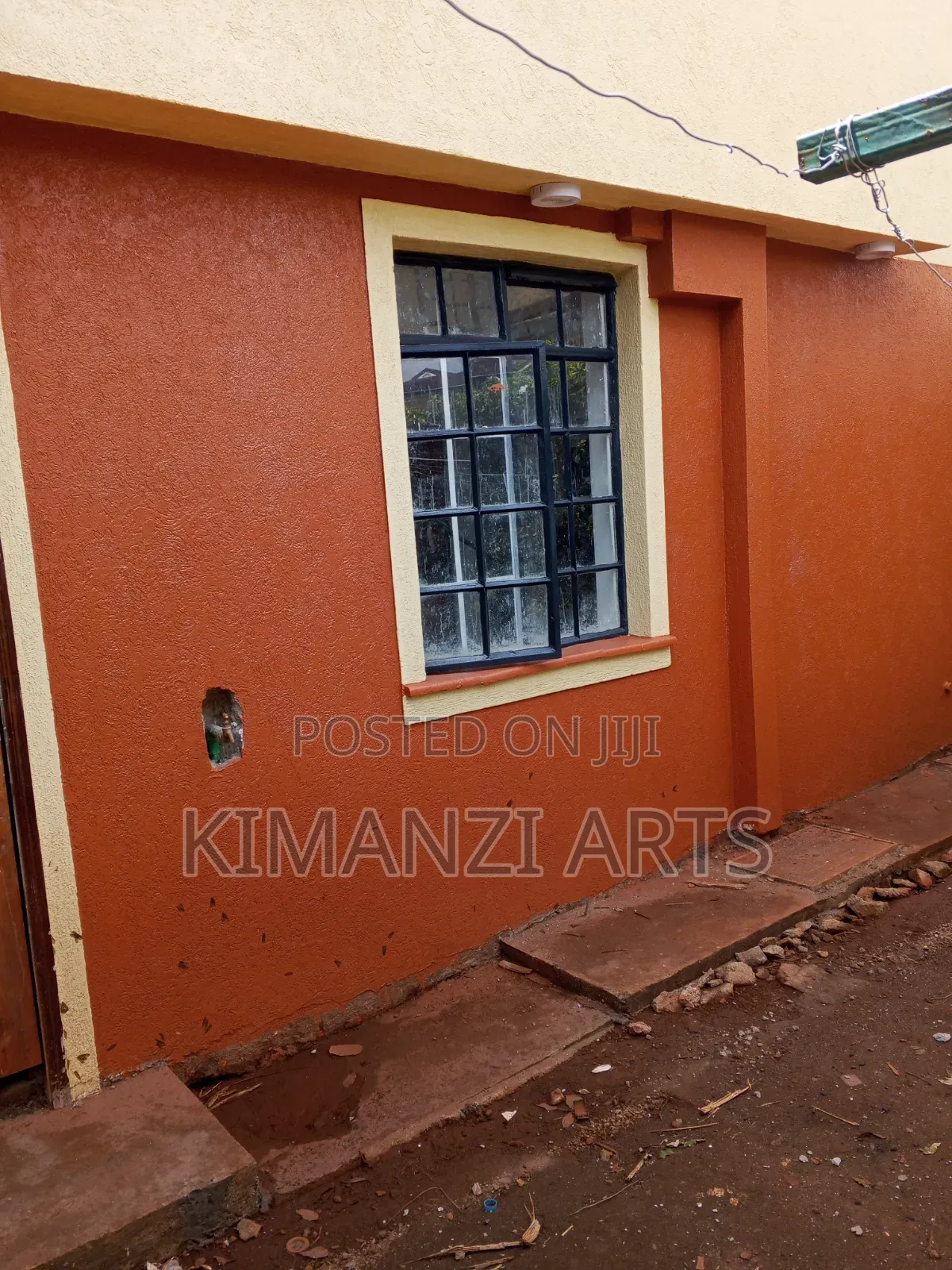 Professional Painter