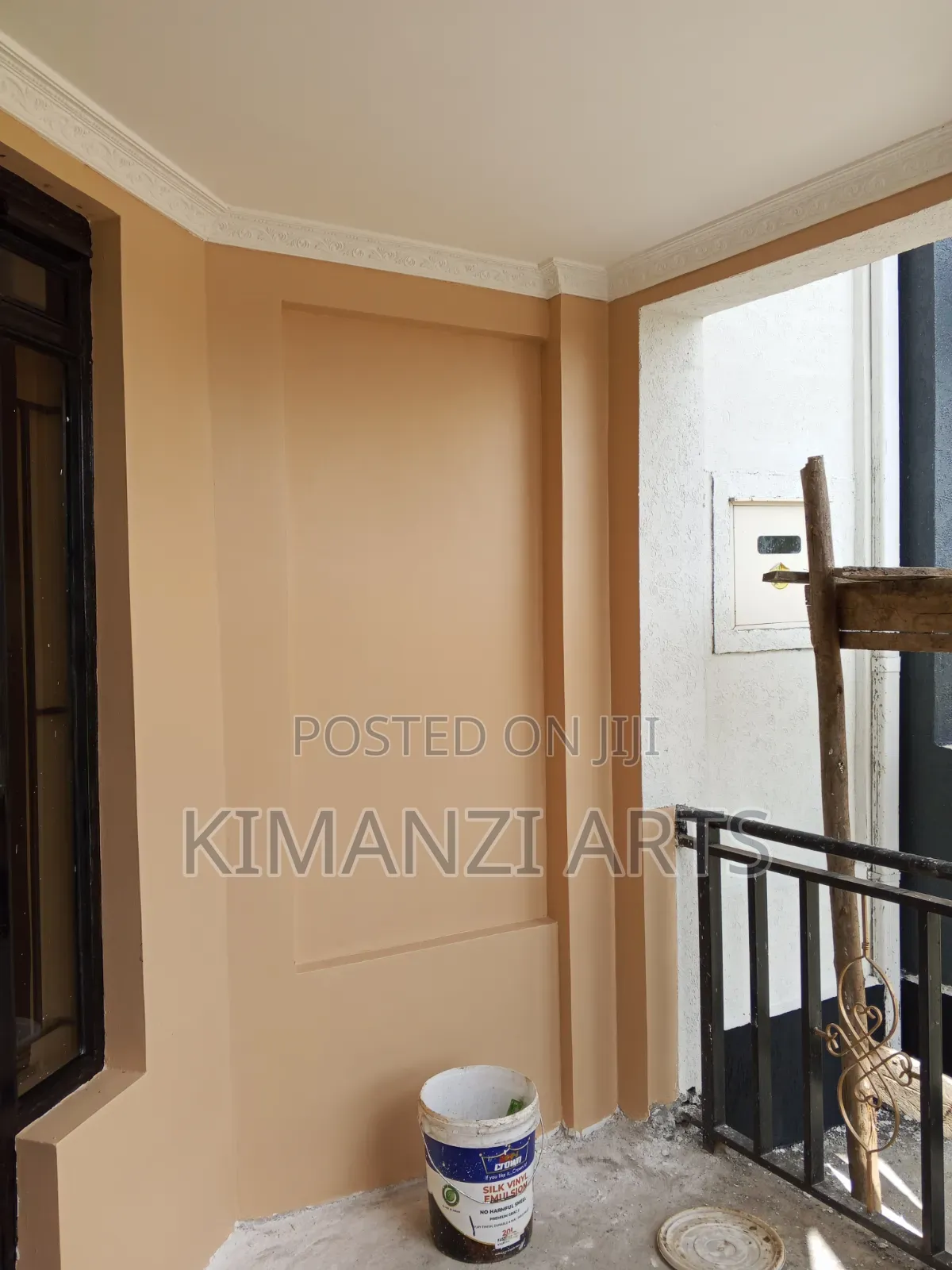 Professional Painter