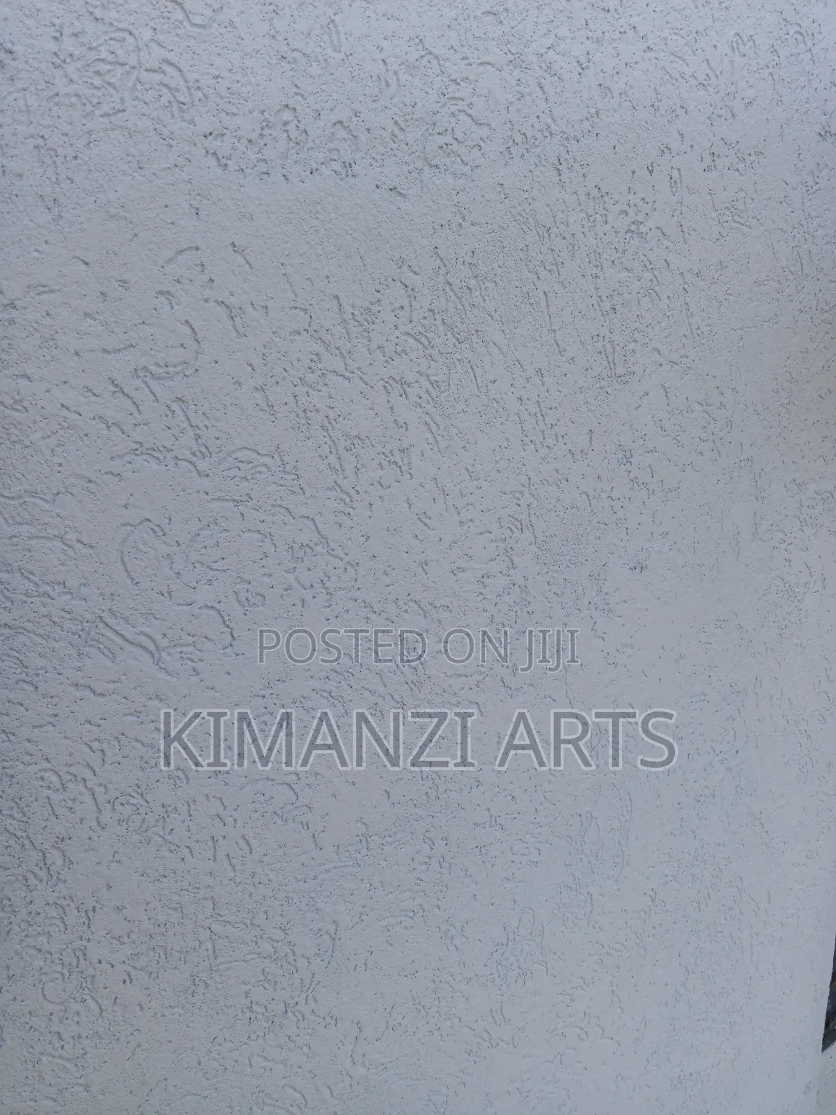 Professional Painter
