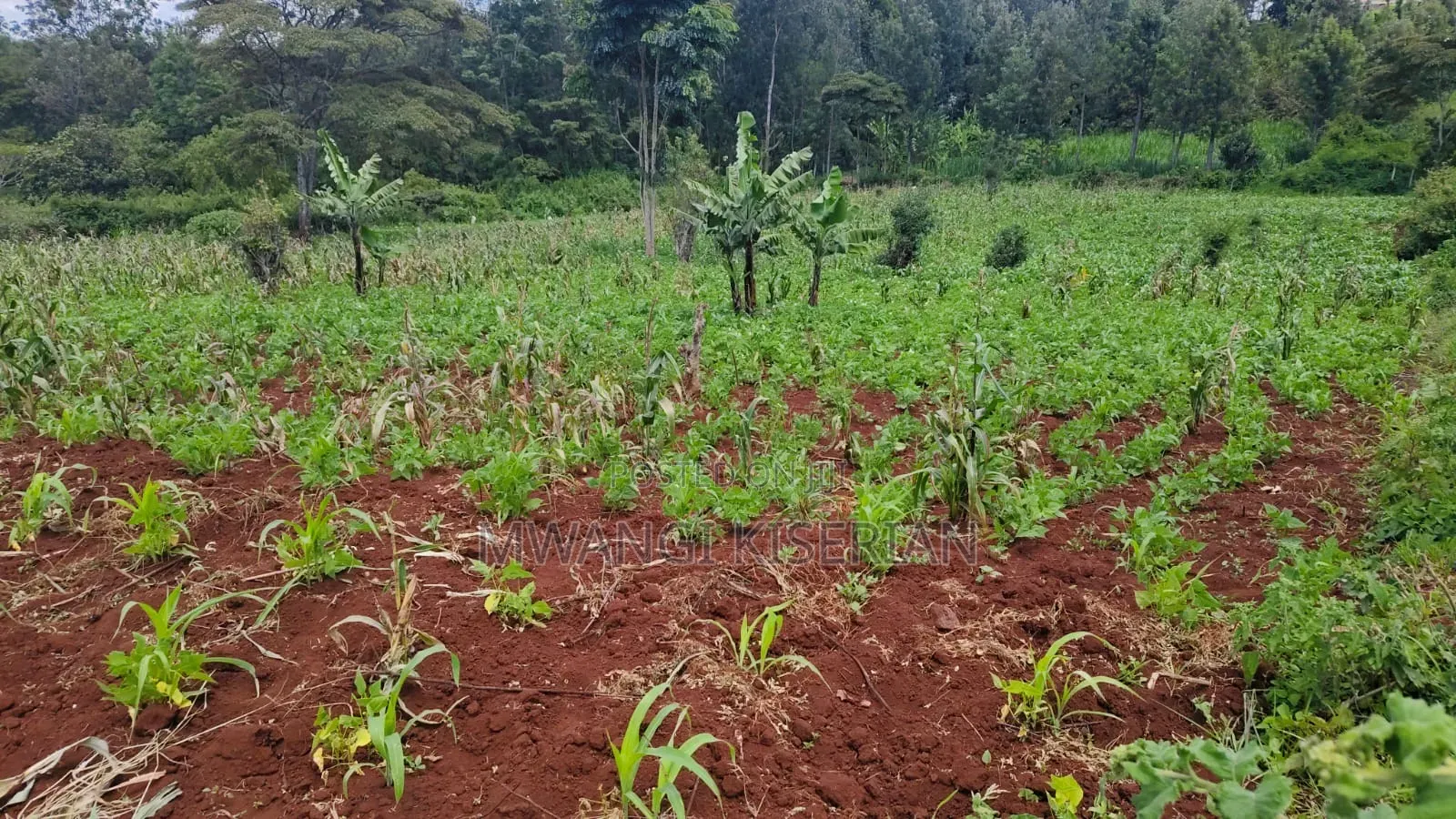 1 Acre for Sale in Ngong Matasia