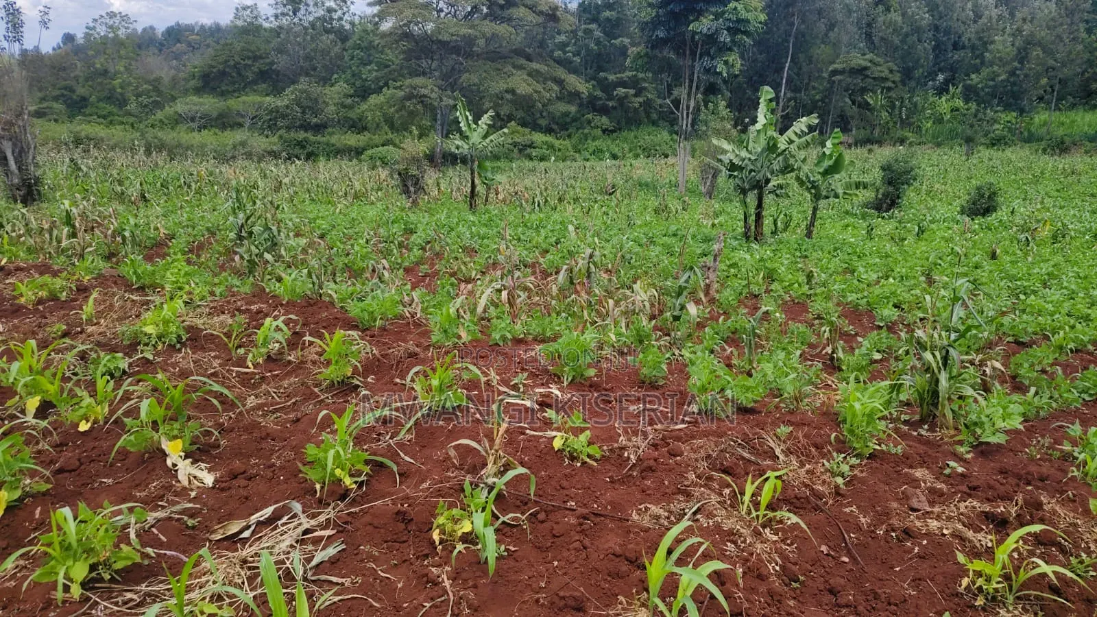1 Acre for Sale in Ngong Matasia