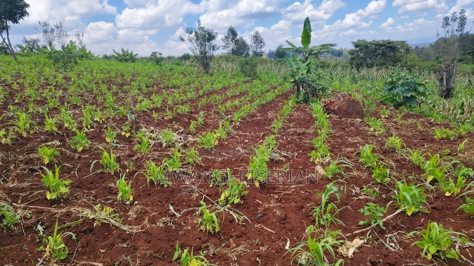 1 Acre for Sale in Ngong Matasia