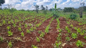 1 Acre for Sale in Ngong Matasia