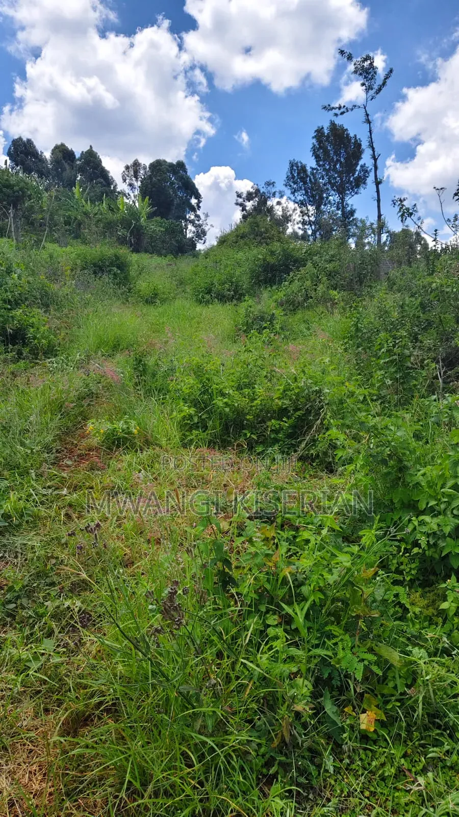 1 Acre for Sale in Ngong Matasia