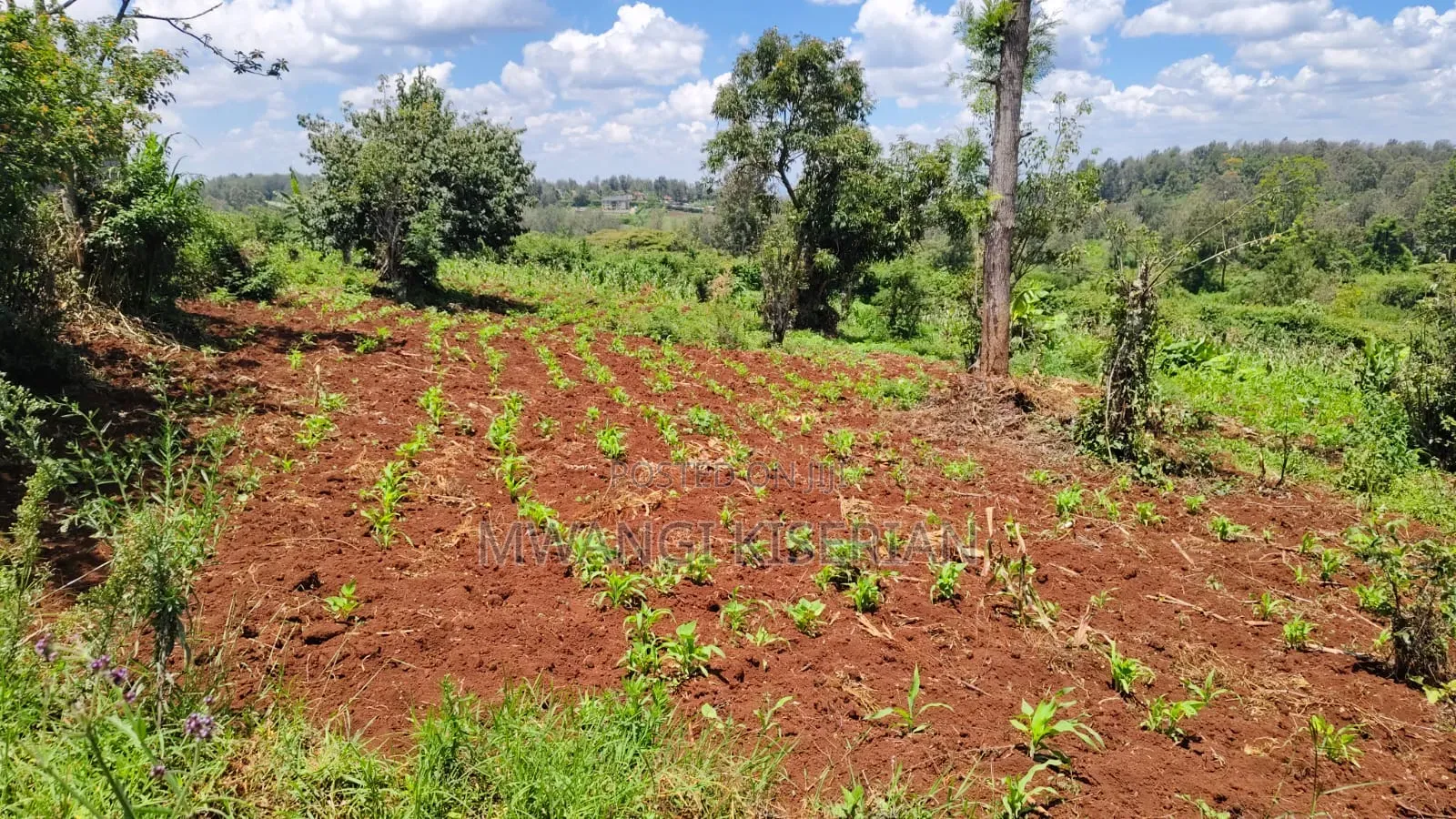 1 Acre for Sale in Ngong Matasia