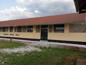 Painting of Govt Social Hall.