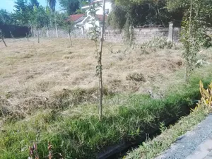 Land For. Sale 1/2 Acre. For Sale Karen
