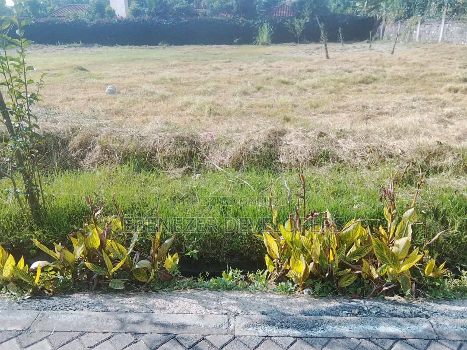Land For. Sale 1/2 Acre. For Sale Karen