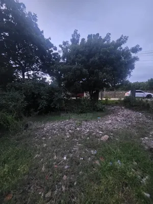 Half an Acre in Diani Lofta Road for Sale Touching Tarmac