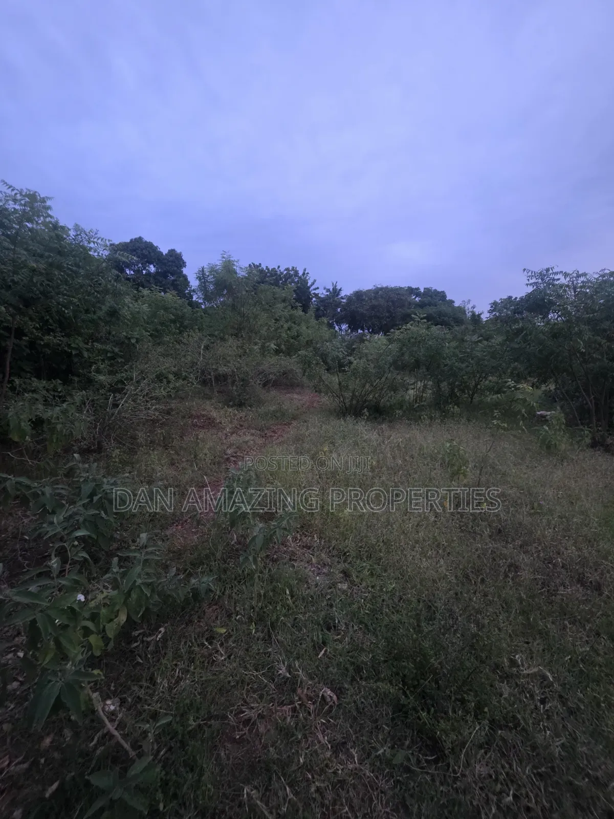 Half an Acre in Diani Lofta Road for Sale Touching Tarmac
