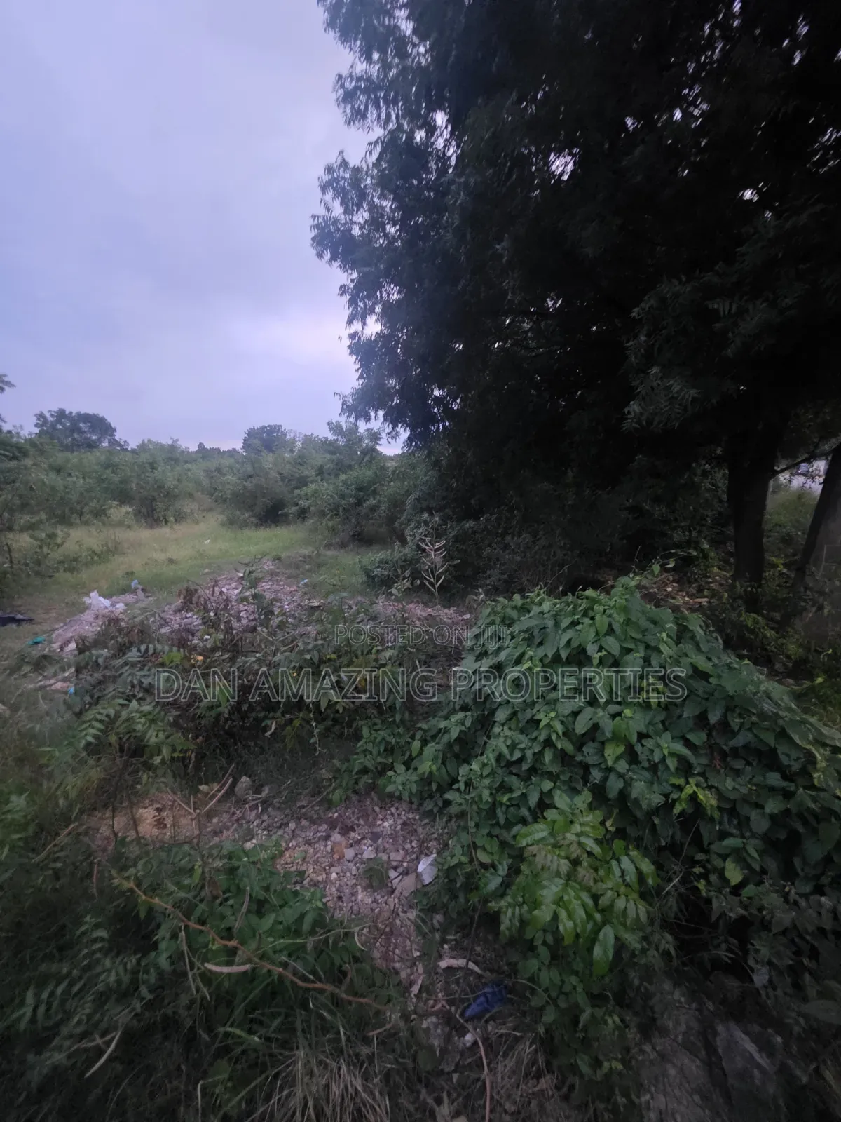 Half an Acre in Diani Lofta Road for Sale Touching Tarmac
