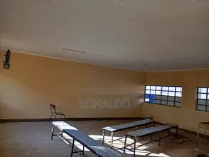 Painting of Govt Social Hall.