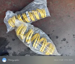 Honda Fit Shuttle Springs