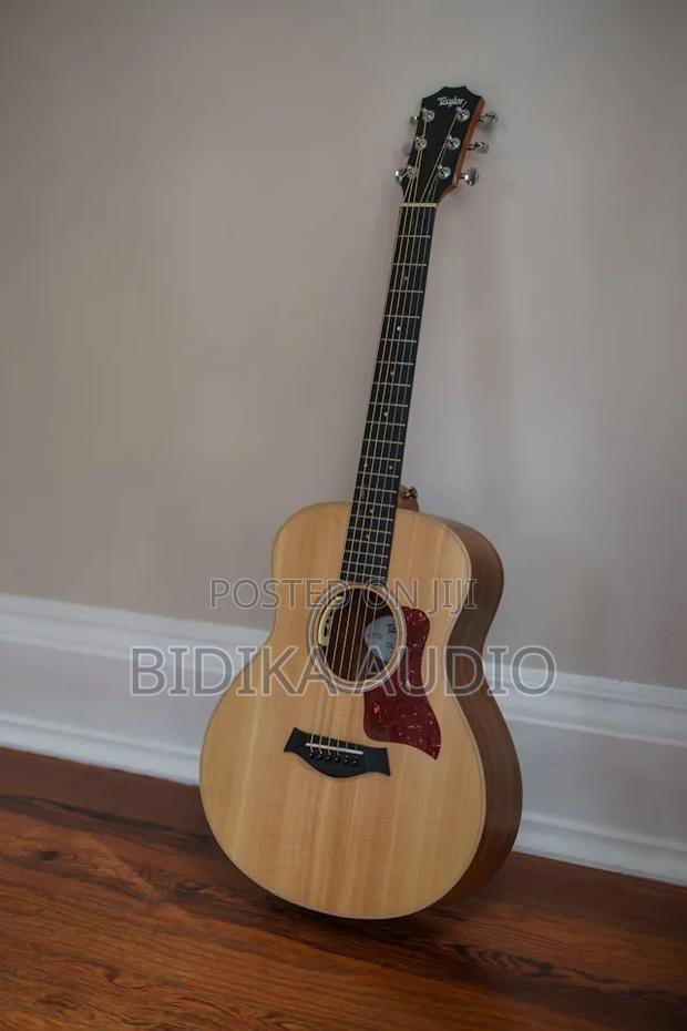Acoustic Guitar - main view