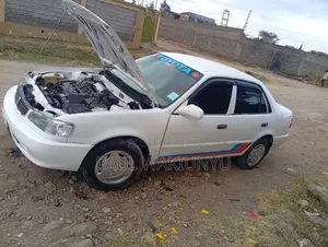 Toyota Corolla 1998 White