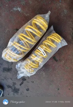 Toyota Belta Springs