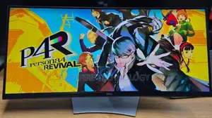 Dell 34inch Monitor  Model: P3421w