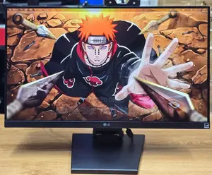 Lg 24 Inch Frameless Monitor With Type-C for Displa