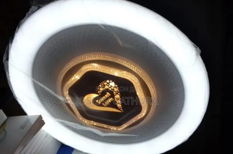 Decorative Ceiling Light