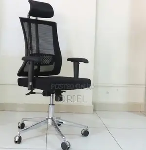 Office Chair : Mesh Swivel Orthopedic Office Chair