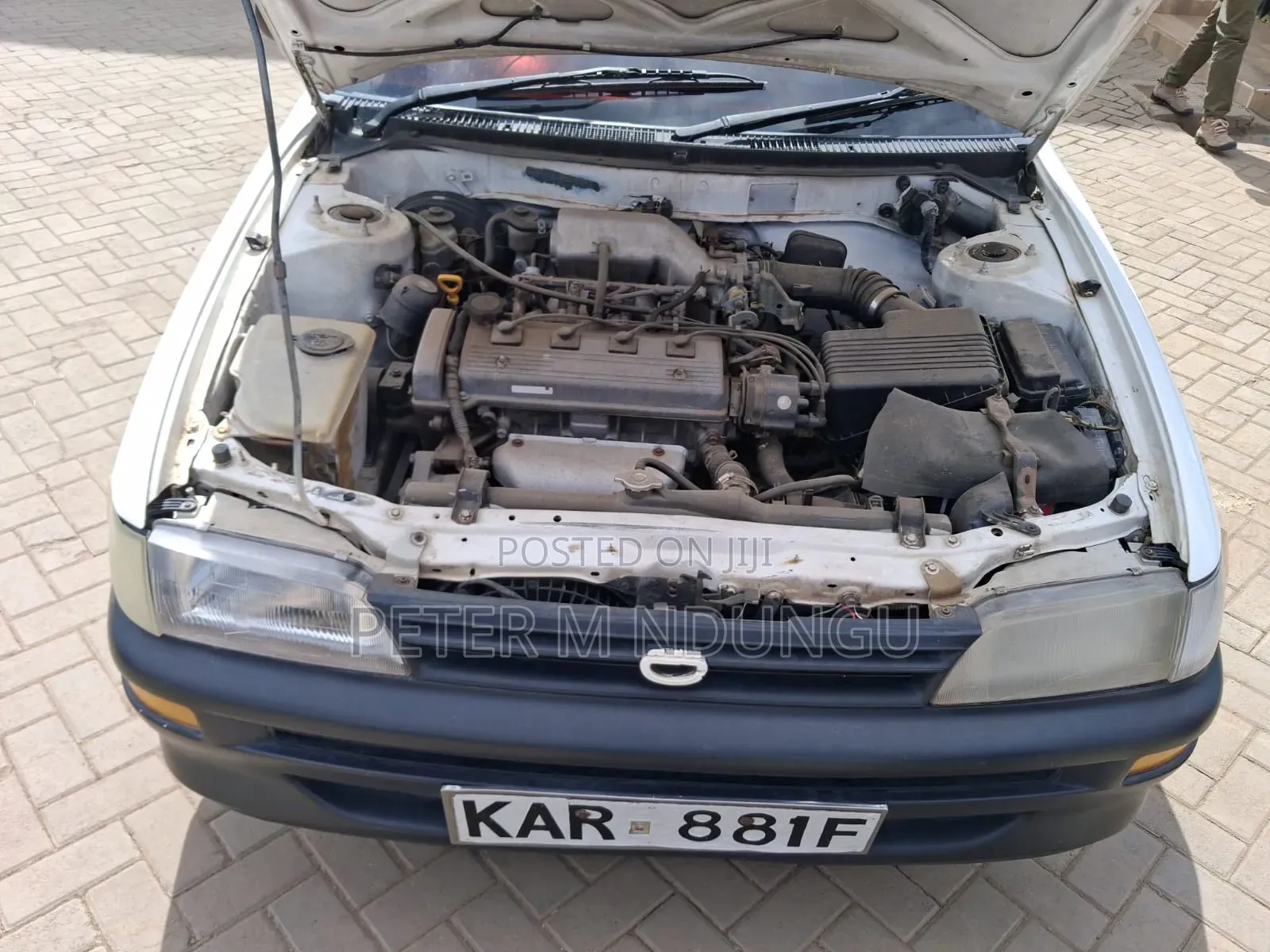 Toyota Corolla 1999 White