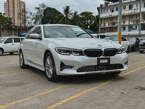 BMW 320i Sedan RWD 2019 Pearl