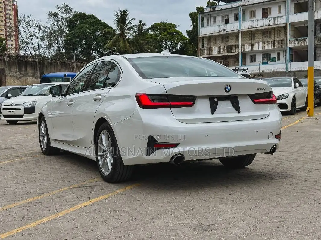 BMW 320i Sedan RWD 2019 Pearl