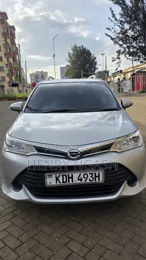 Toyota Corolla Fielder 2015 Silver