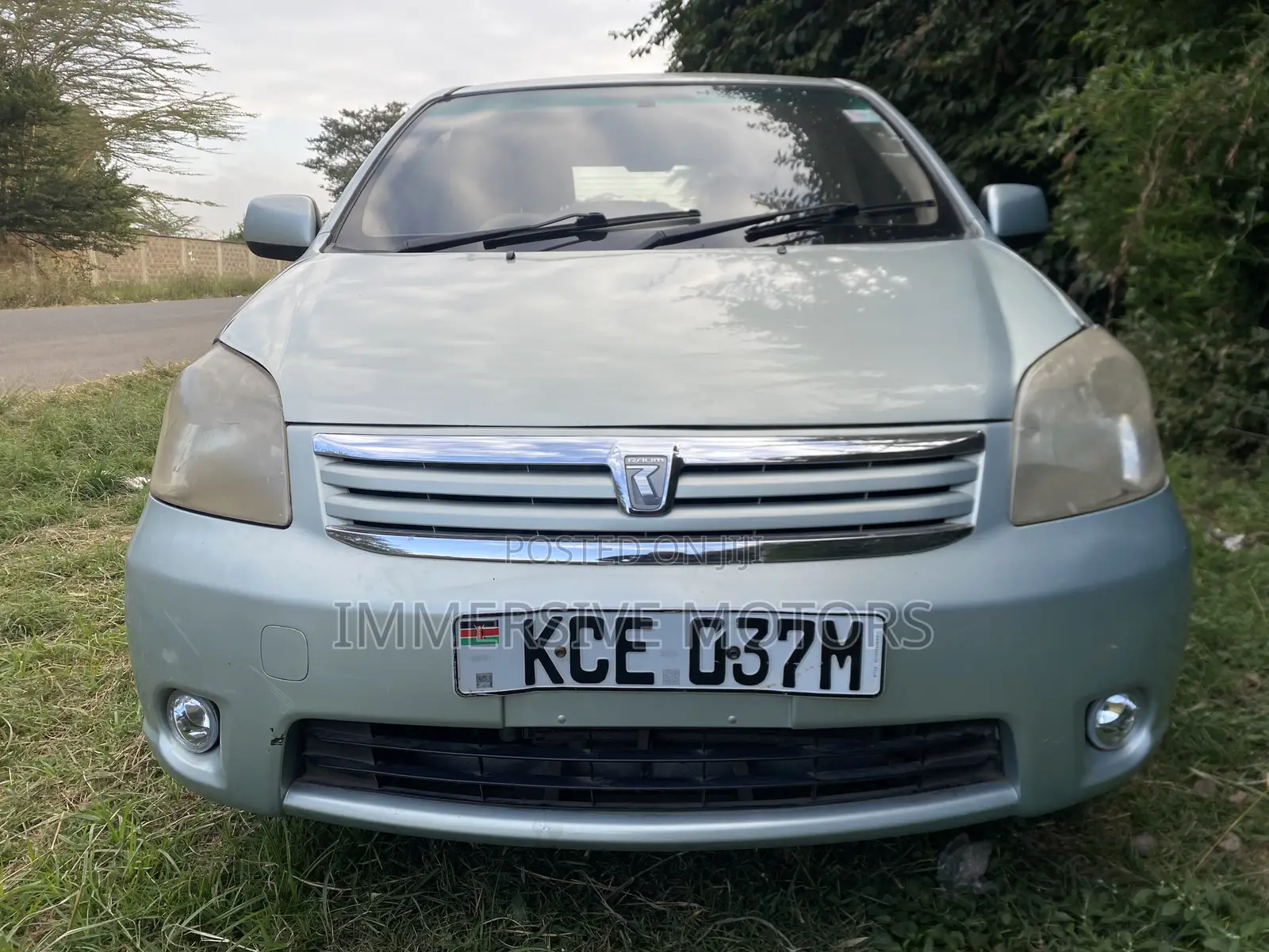 Toyota Raum 2008 Green