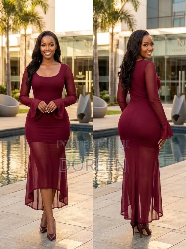 Long Sleeve Bodycon Mesh Overlay Dress