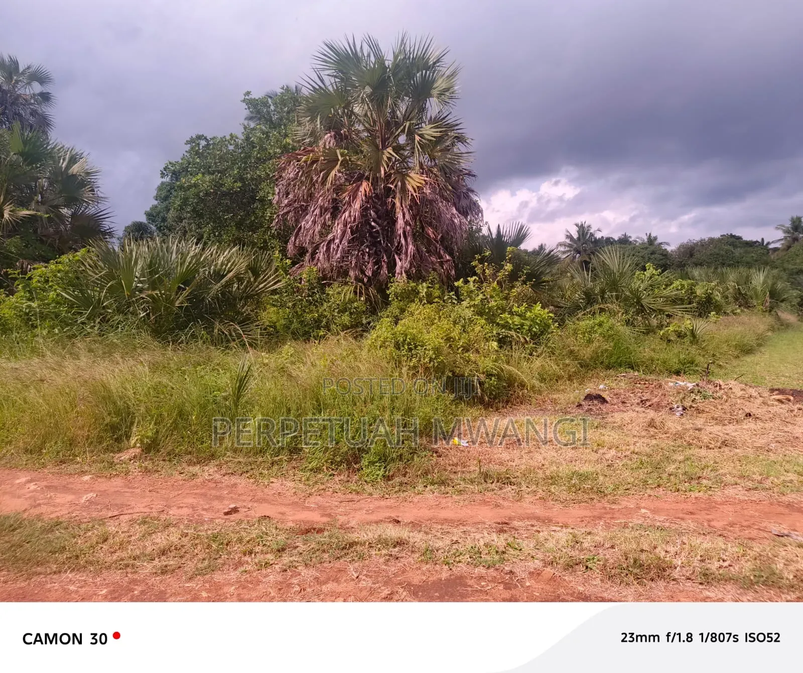Prime 1/2acre Plot in Diani, South Coast Near Baobab Beach Resort