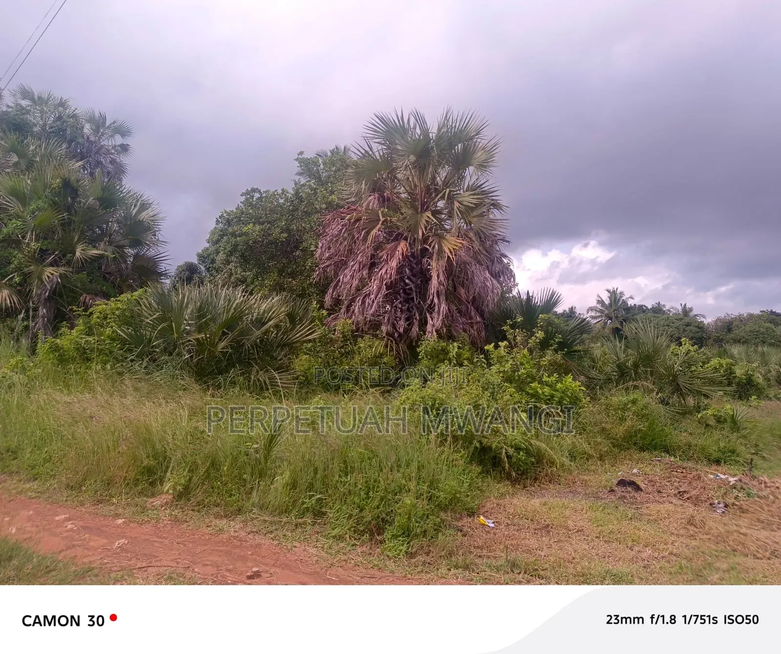 Prime 1/2acre Plot in Diani, South Coast Near Baobab Beach Resort