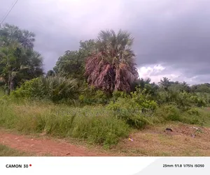Prime 1/2acre Plot in Diani, South Coast Near Baobab Beach Resort