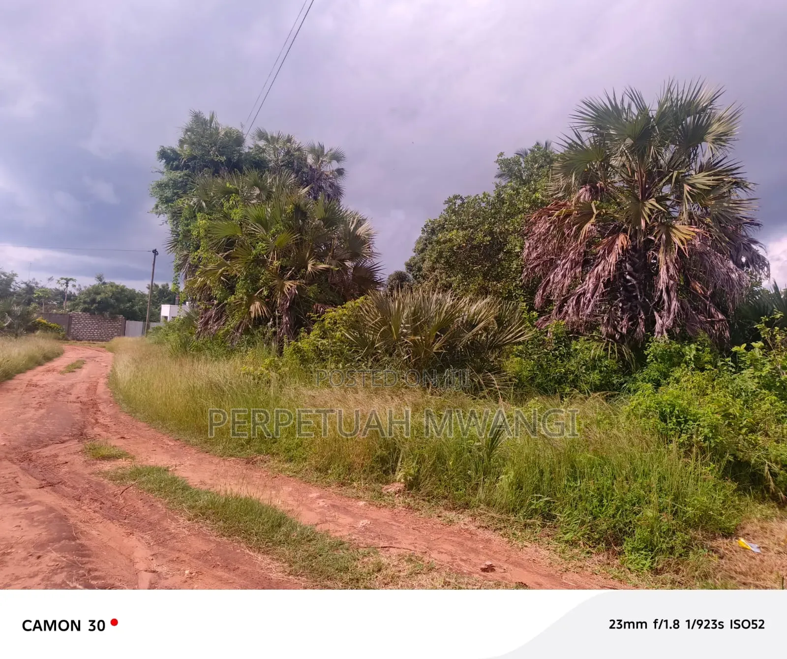 Prime 1/2acre Plot in Diani, South Coast Near Baobab Beach Resort