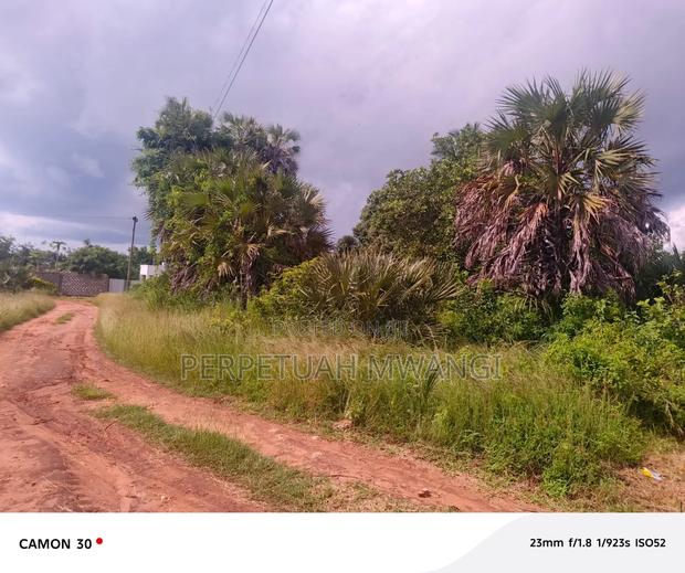 Prime 1/2acre Plot in Diani, South Coast Near Baobab Beach Resort - thumbnail 3