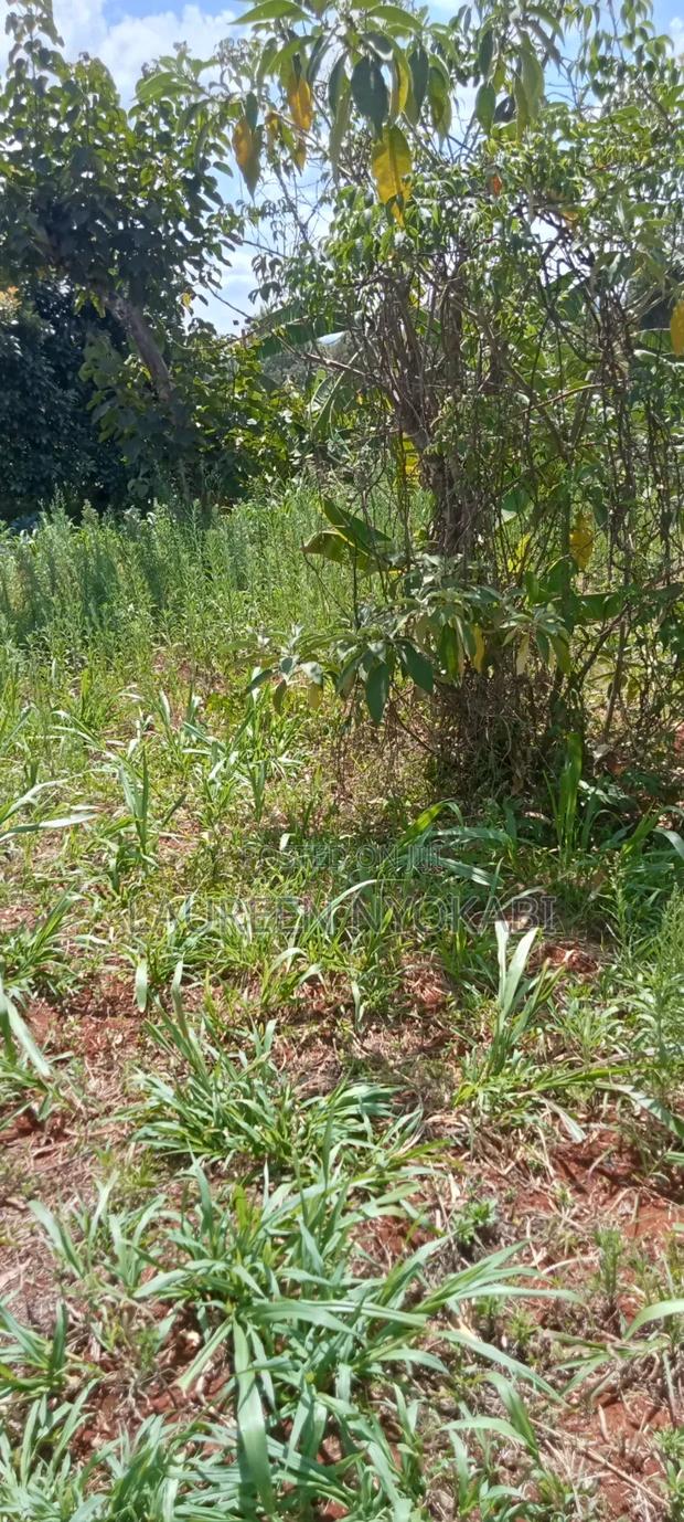 50*100plots for Sale in Gilgil