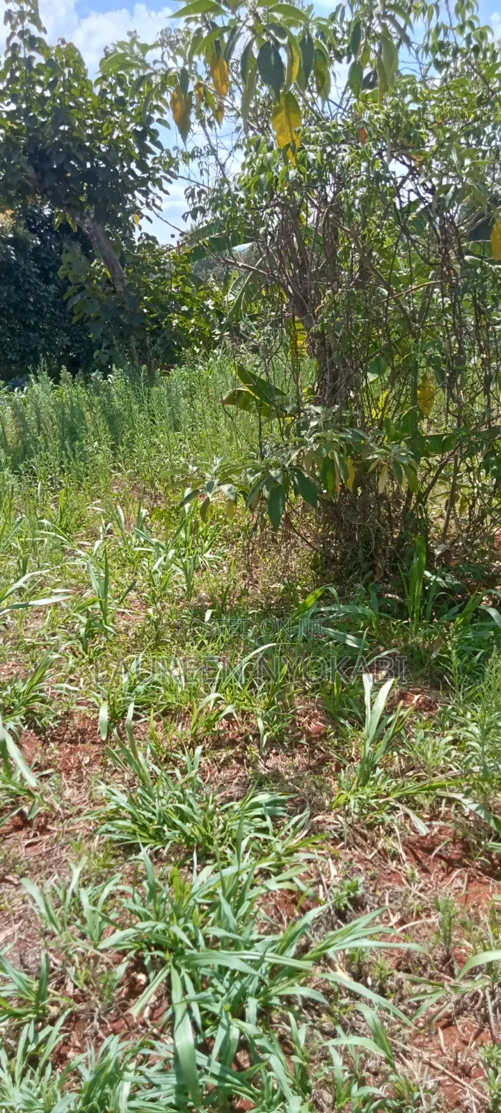 50*100plots for Sale in Gilgil