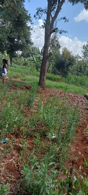 50*100plots for Sale in Gilgil